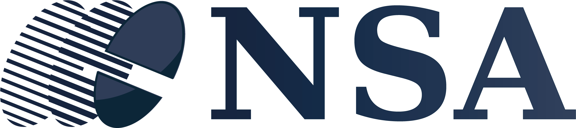 Logo_NSA.positivo