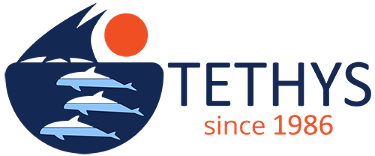 TETYHS logo copy